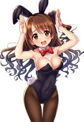 sexy bunny girl anime. Photo #2
