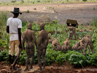 nude black slaves. Photo #6
